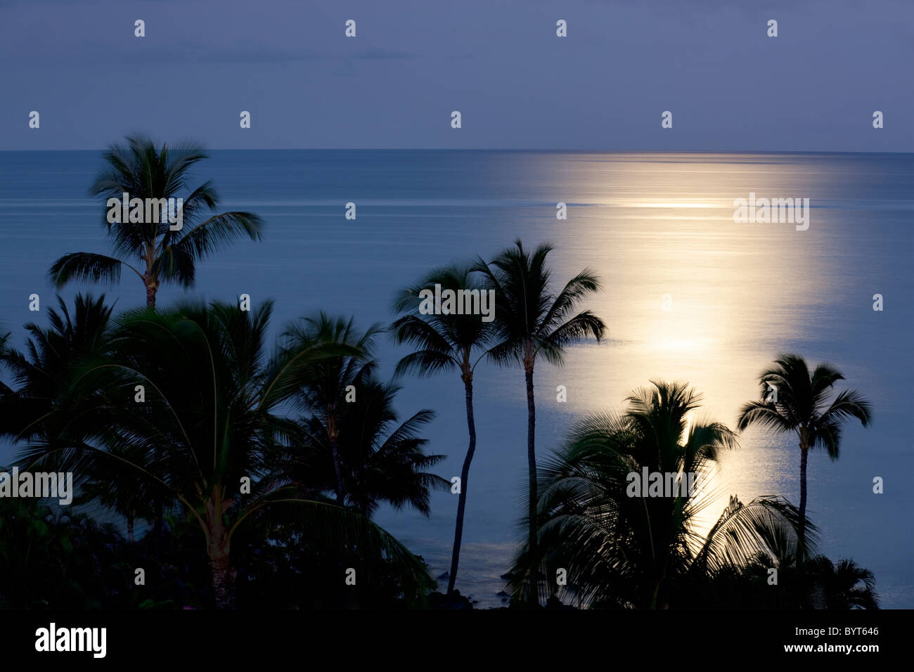 Impostazione luna oltre oceano con palme. Maui, Hawaii Foto Stock