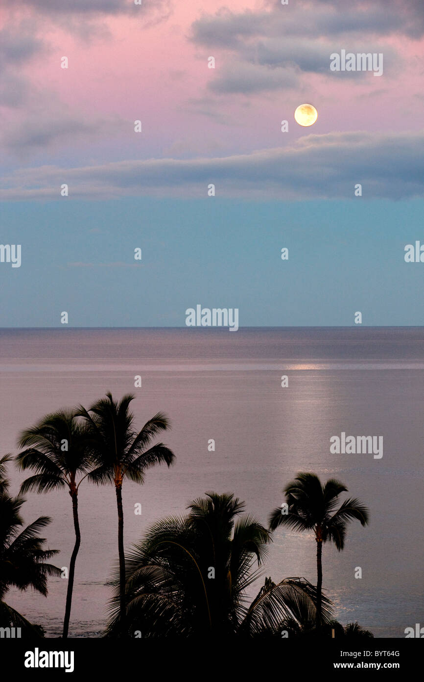 Impostazione luna oltre oceano con palme. Maui, Hawaii Foto Stock