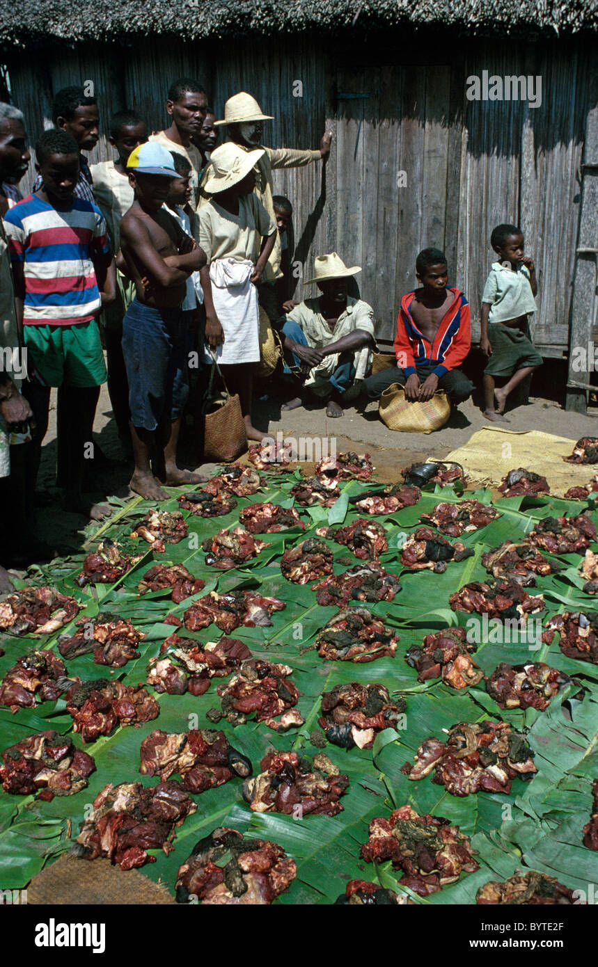 Pasto in comune, la condivisione o la distribuzione di carne di zebù per gli abitanti di un villaggio a Sambatra circoncisione Festival, Mananjary, Madagascar Foto Stock