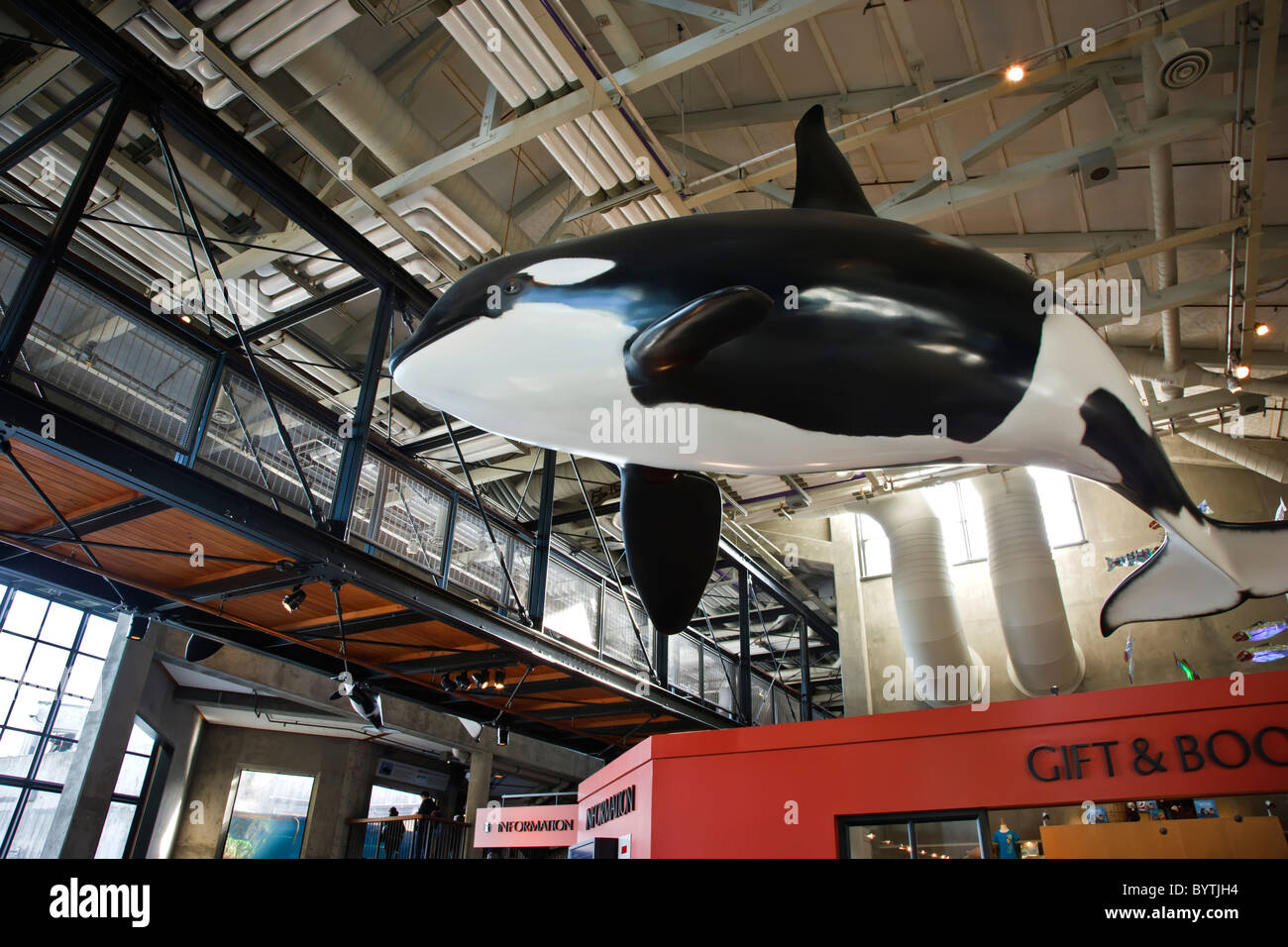Il Monterey Bay Aquarium Foto Stock