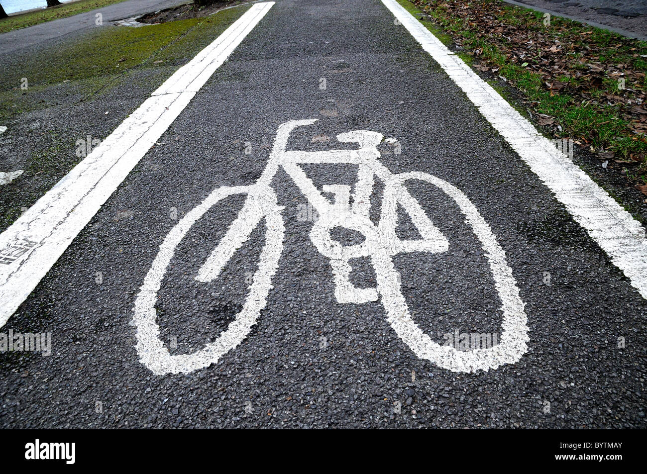 Ciclo di logo di corsia sulla strada Foto Stock