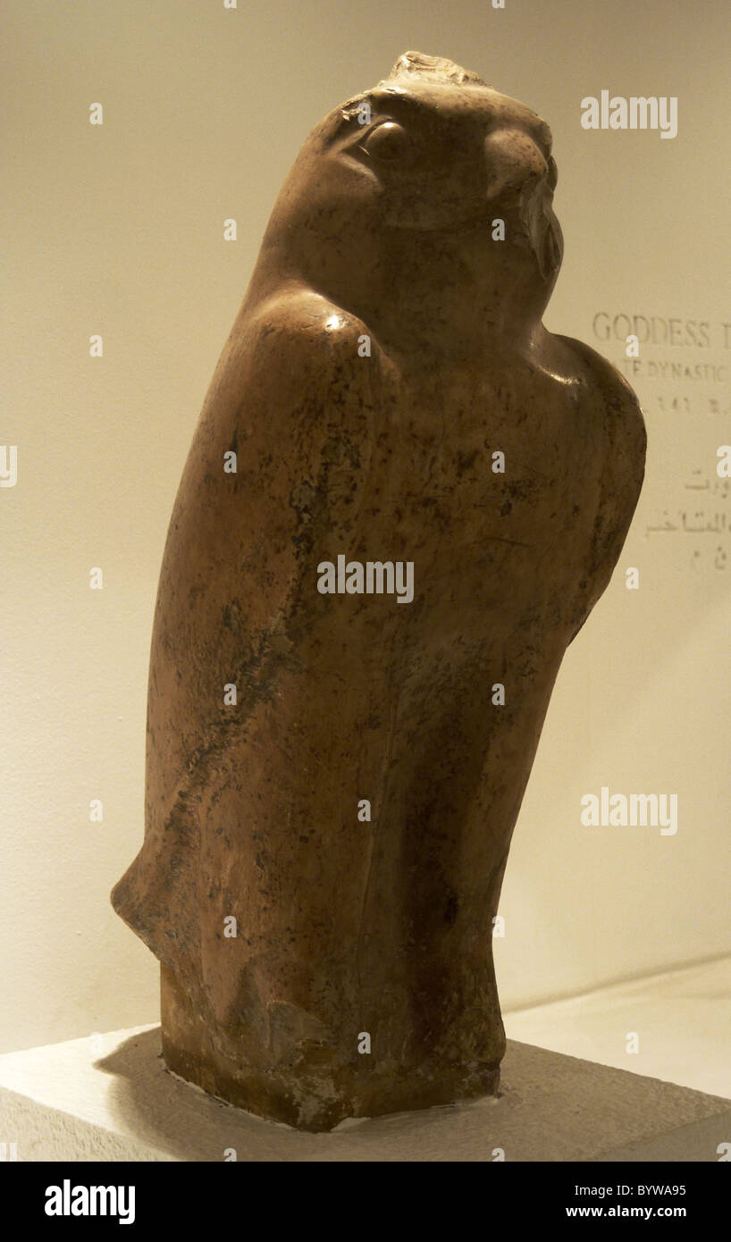 Arte Egizia Statua del dio Horus come un falco. Xxv Dinastia (Nubian). Terzo Periodo Intermedio. Museo di Luxor. L'Egitto. Foto Stock