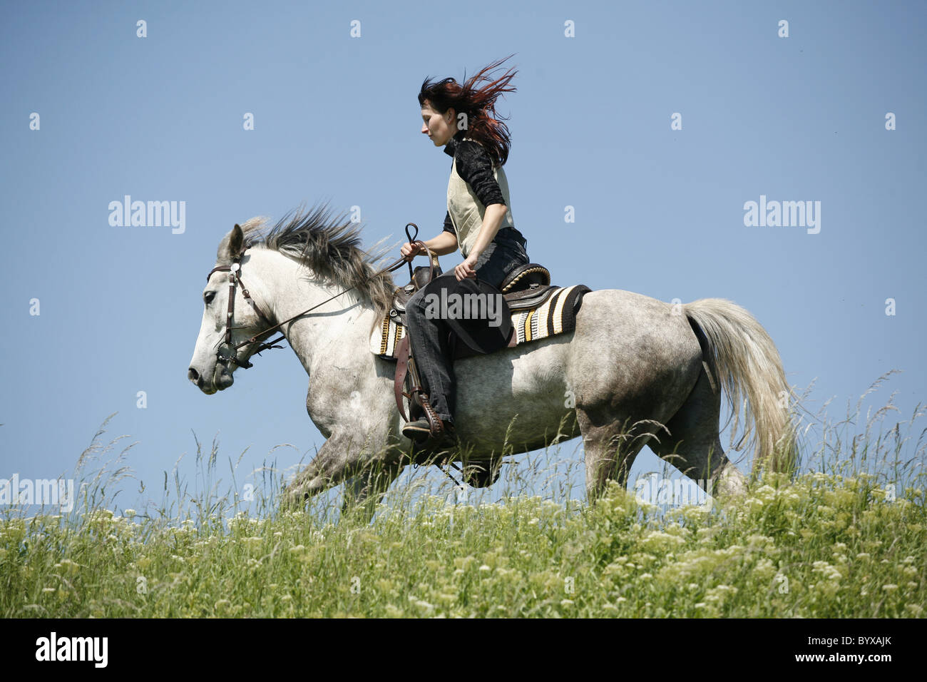 Westernreiter / western rider Foto Stock