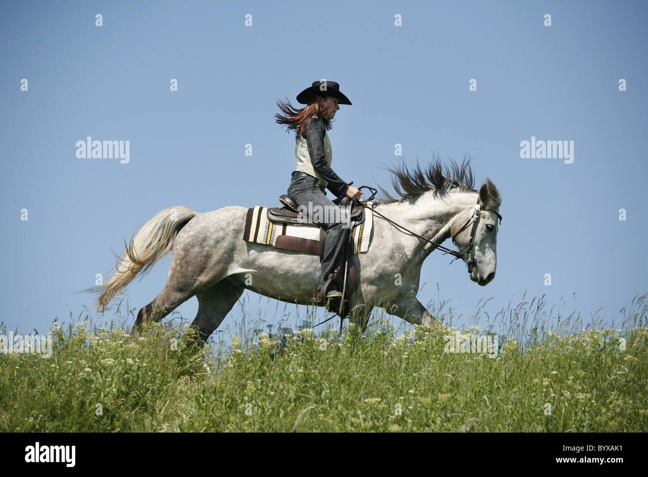 Westernreiter / western rider Foto Stock