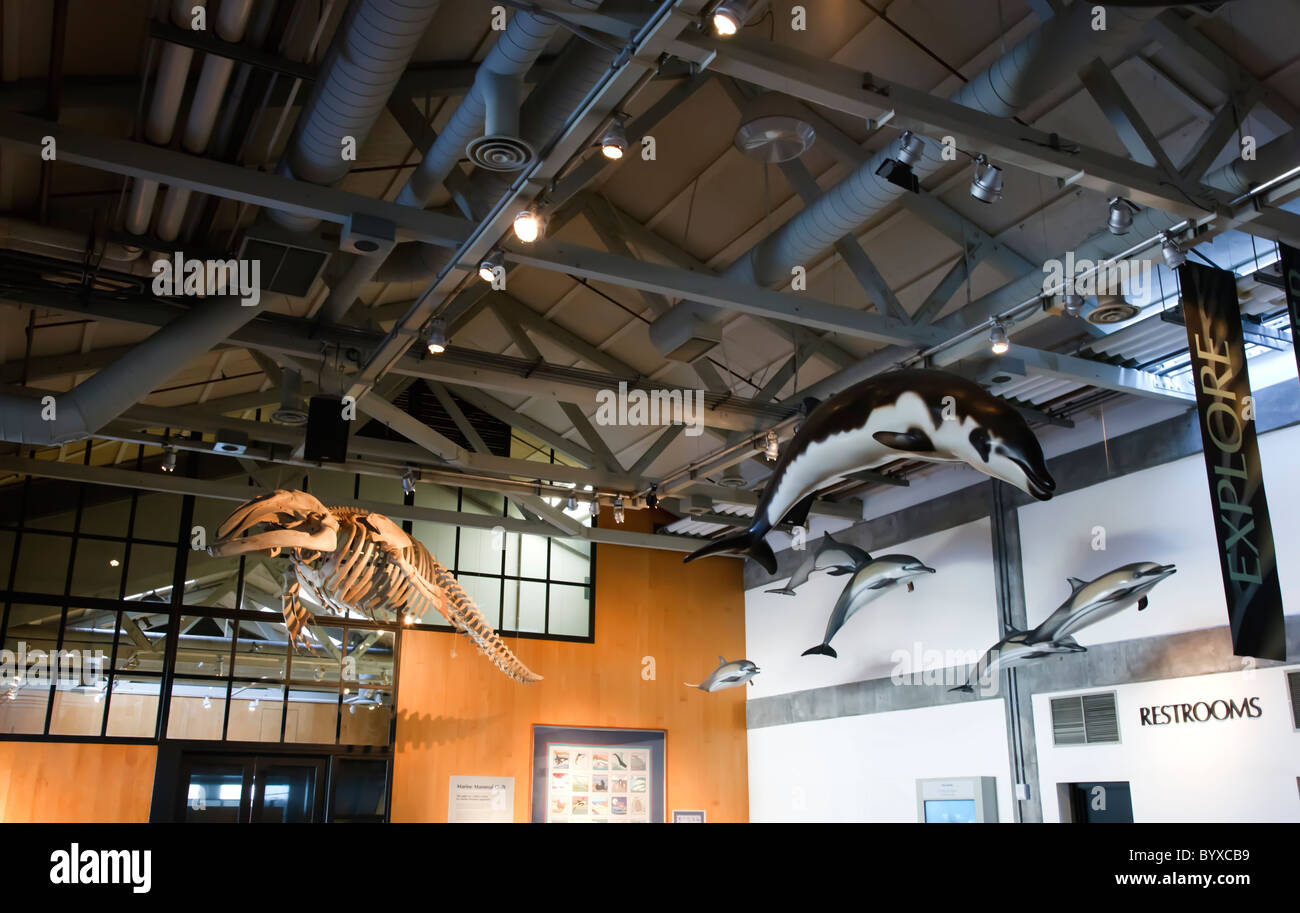 Acquario di Monterey in California Foto Stock