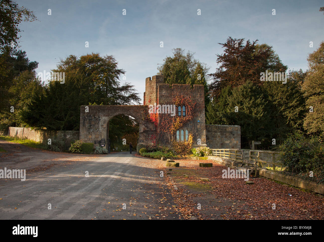 Hulne park; northumberland, Inghilterra Foto Stock