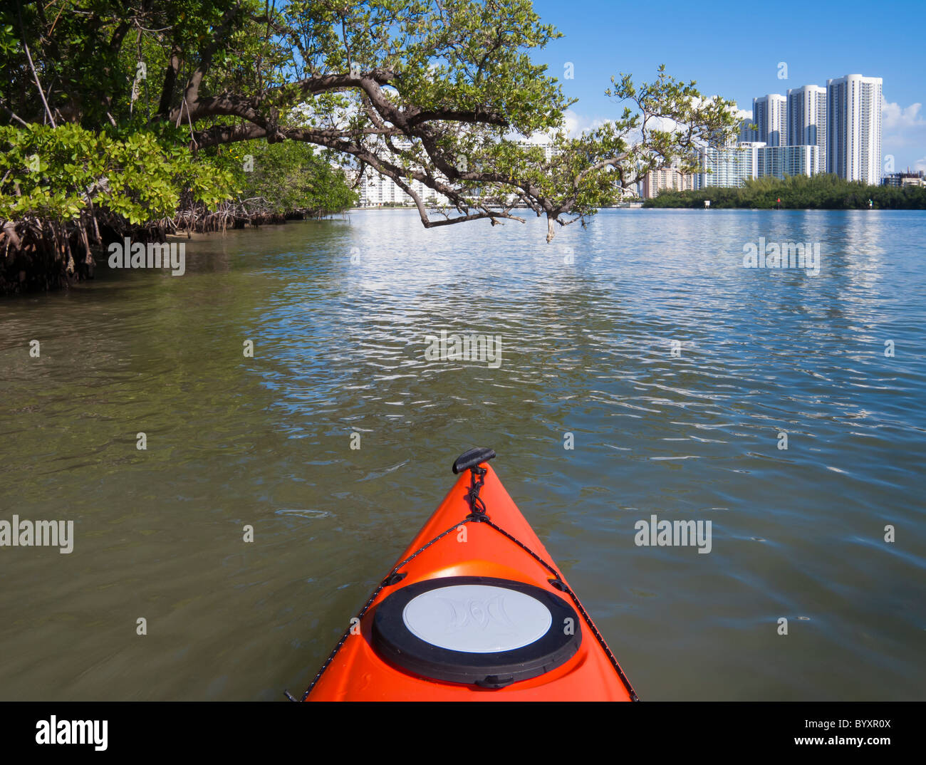 In condominio di alta sorge il peek oltre la foresta di mangrovie lungo il lato nord della Baia di Biscayne, Oleta River State Park, Miami, FL Foto Stock