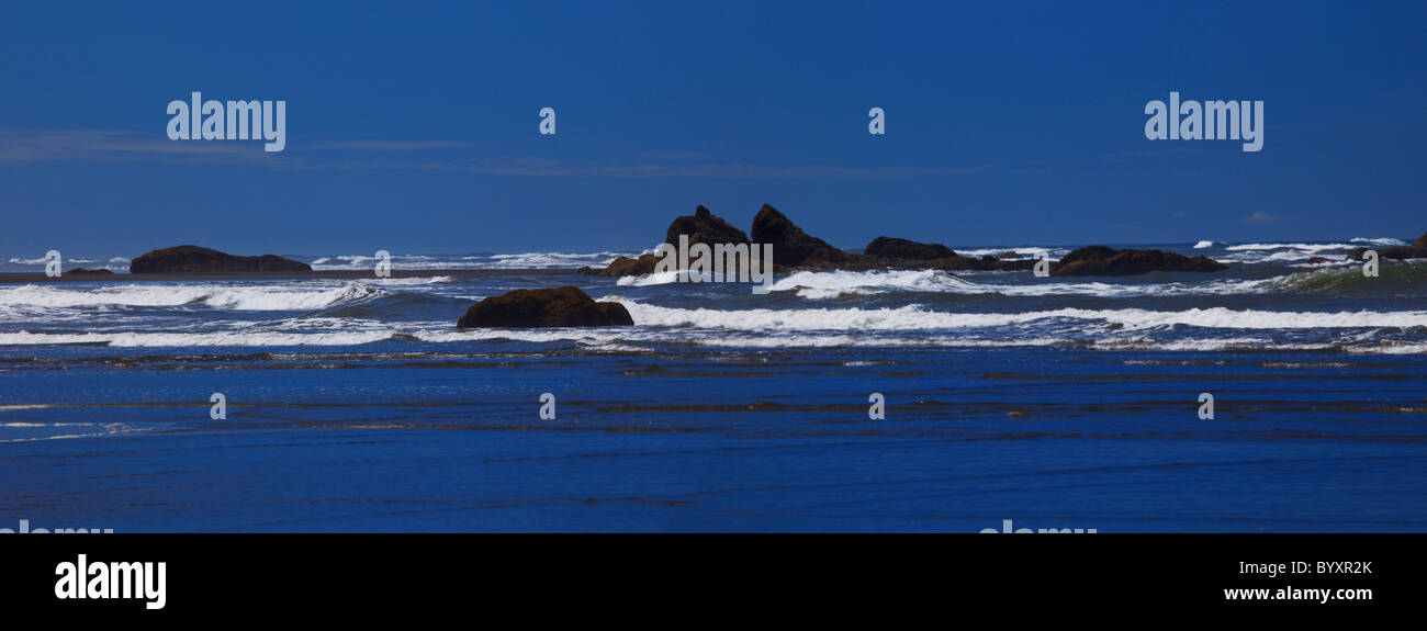 Si tratta di una fotografia panoramica dell'Oceano Pacifico con la bassa marea. Foto Stock