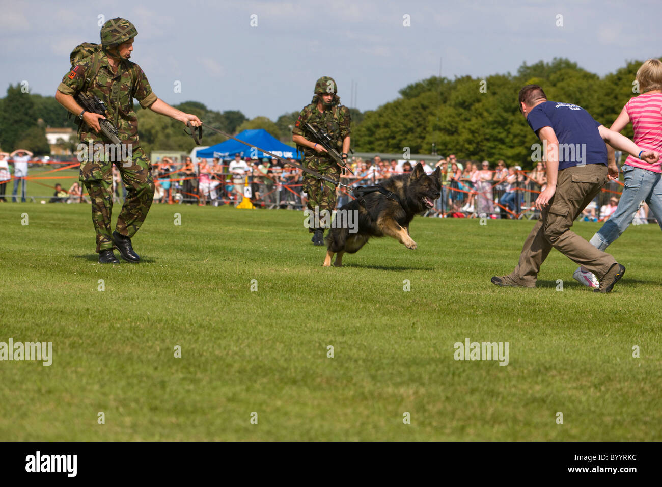 RAF cani di polizia dimostrazione di controllo della folla Foto Stock