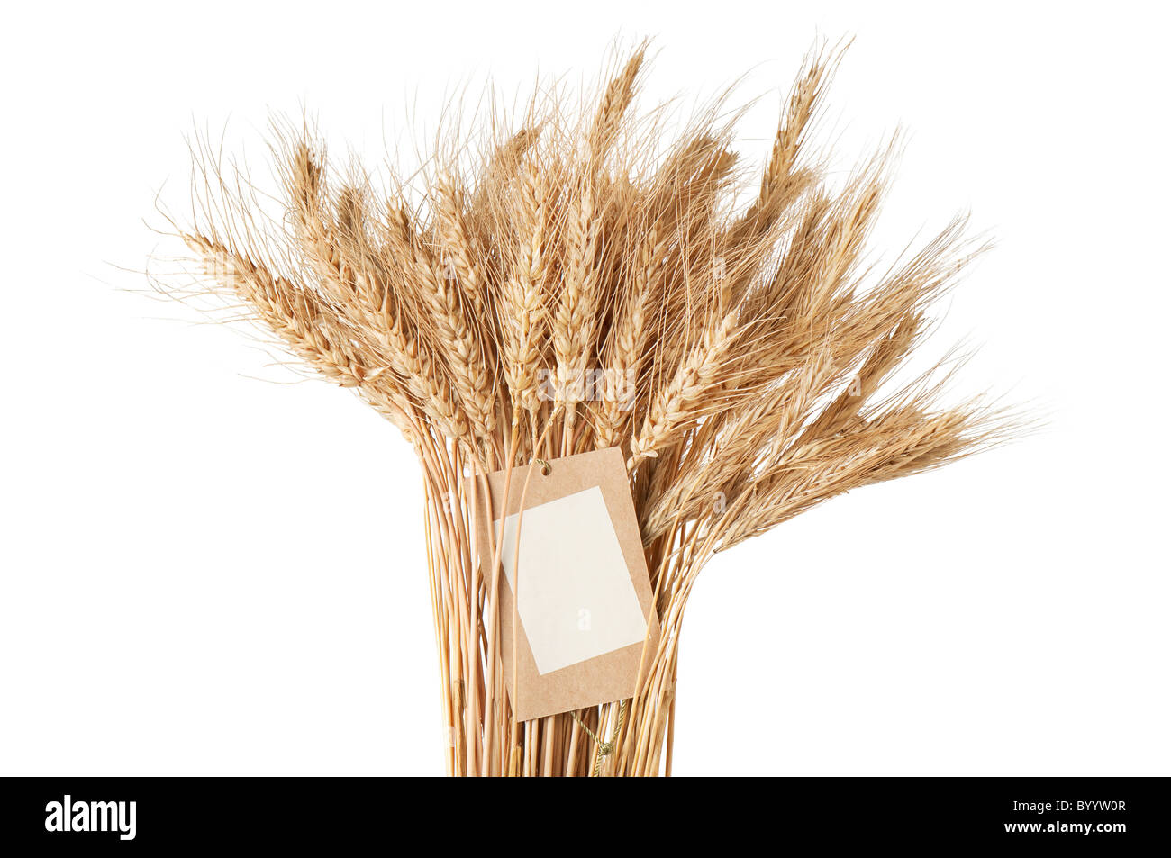 Un covone di grano con un cartellino del prezzo su sfondo bianco Foto Stock