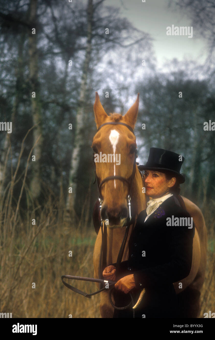 Signora Fox cacciatore con il suo cavallo arabo. Foto Stock