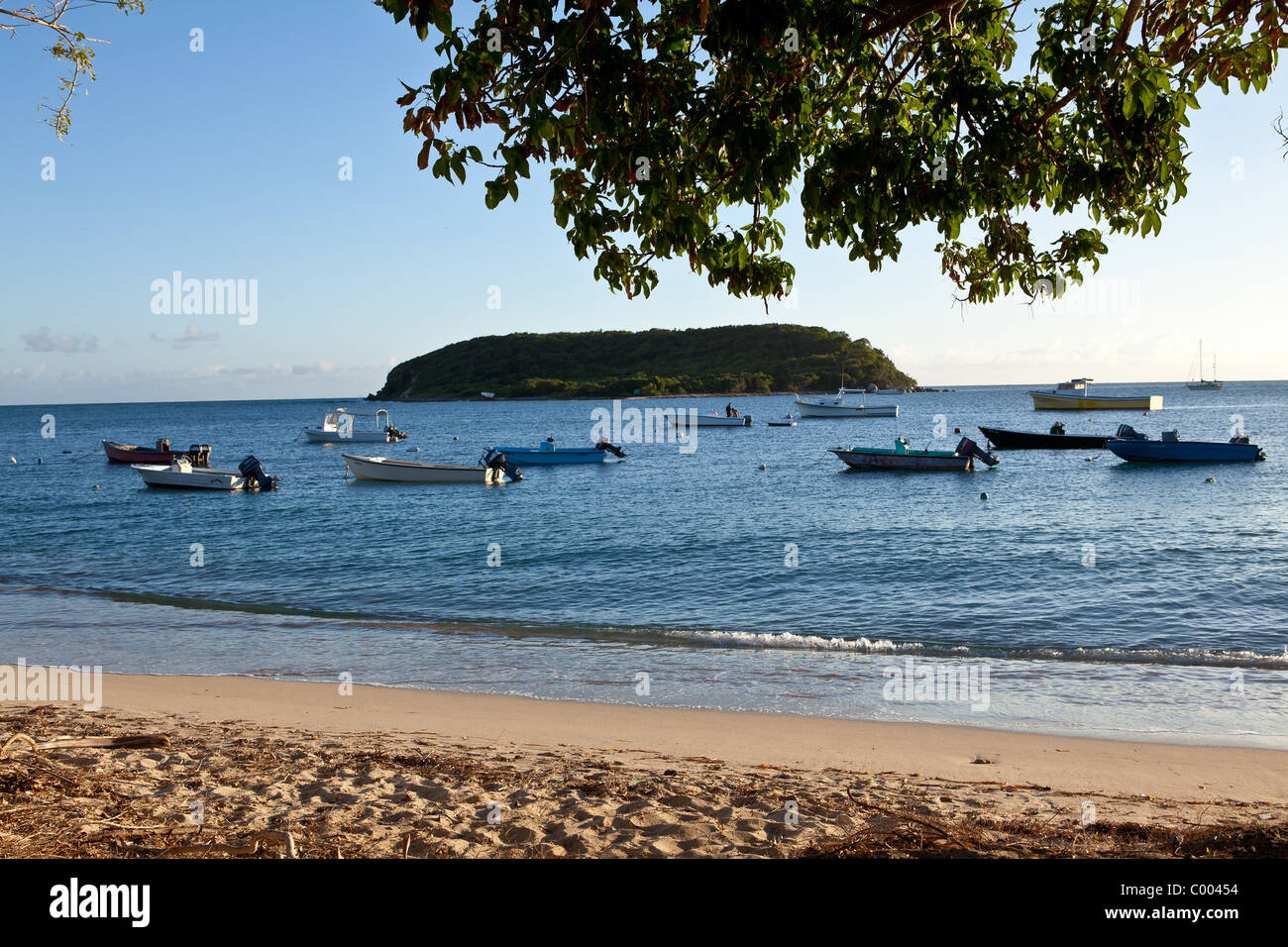 Barche nel porto di Esperanza in Vieques Island, Puerto Rico. Foto Stock