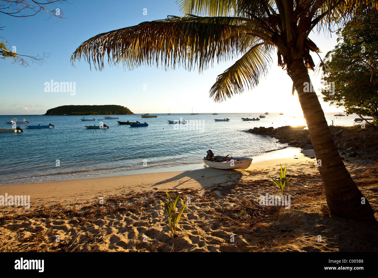 Barche nel porto di Esperanza in Vieques Island, Puerto Rico. Foto Stock