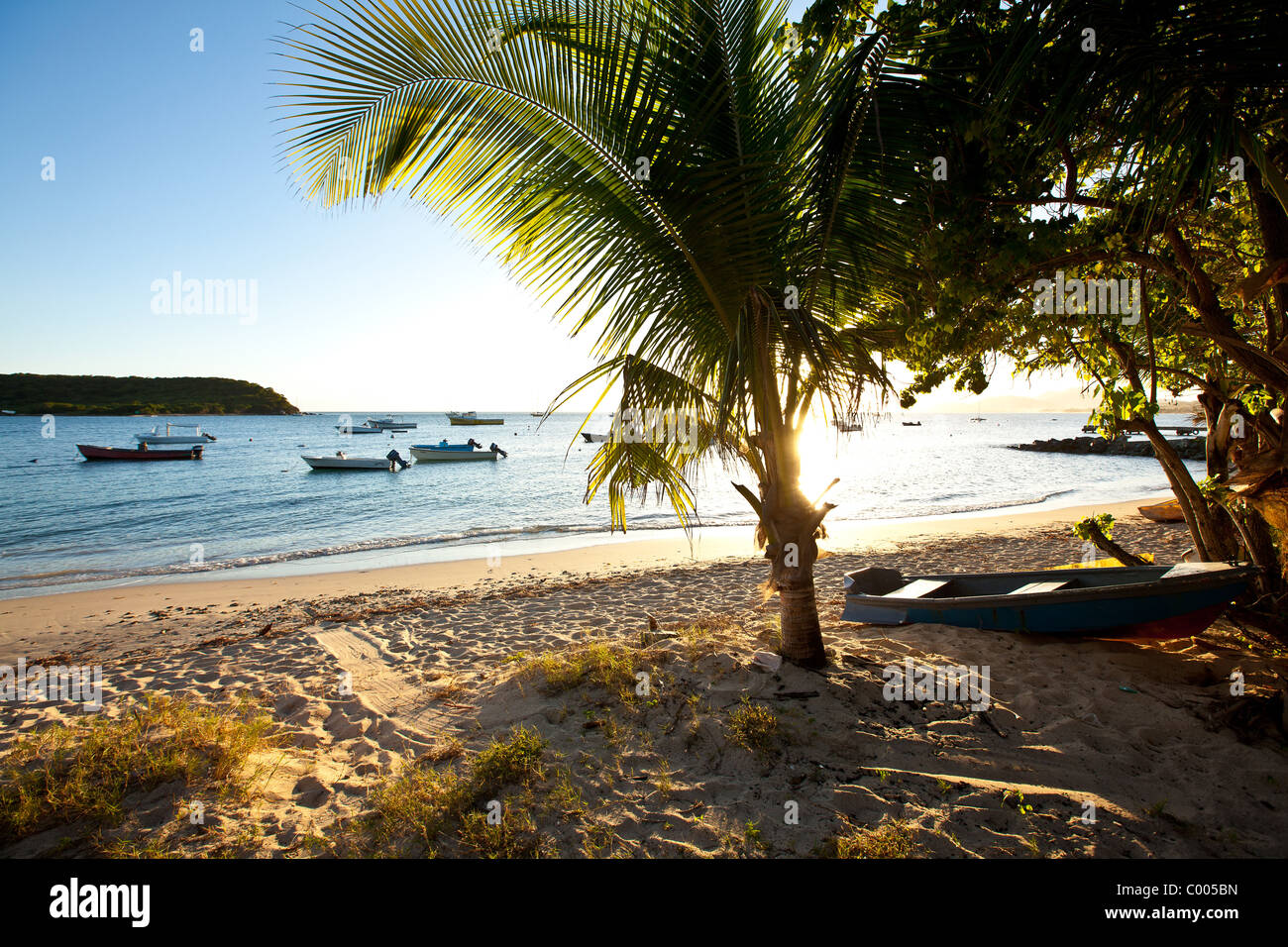 Barche nel porto di Esperanza in Vieques Island, Puerto Rico. Foto Stock