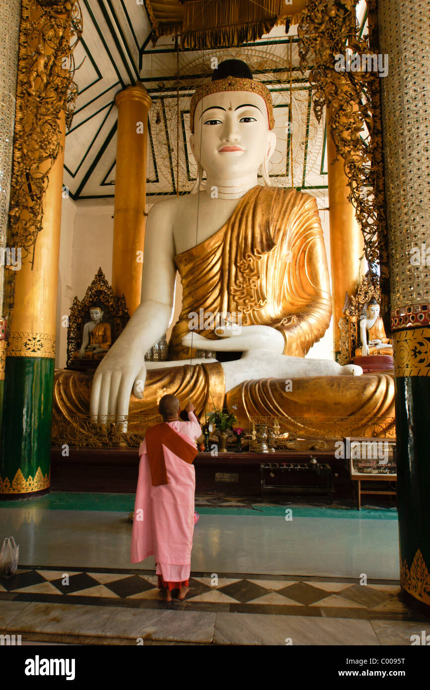 Monaca buddista fanning Buddha a Shwedagon pagoda Yangon (Rangoon), Myanmar (Birmania) Foto Stock