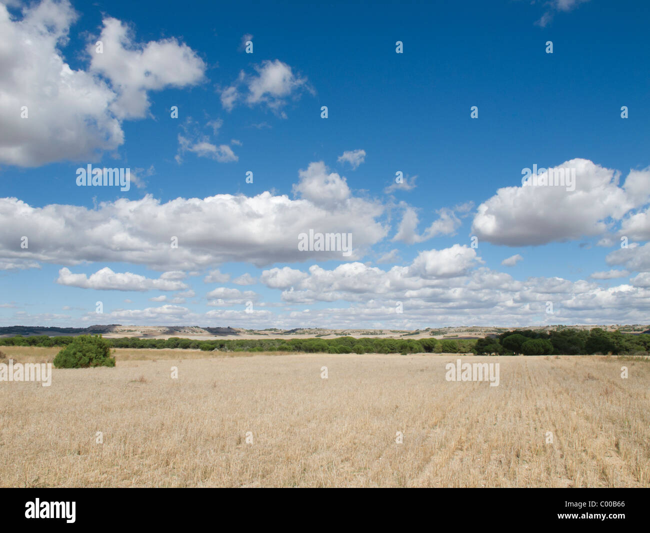 Pianura di spagnolo. Foto Stock