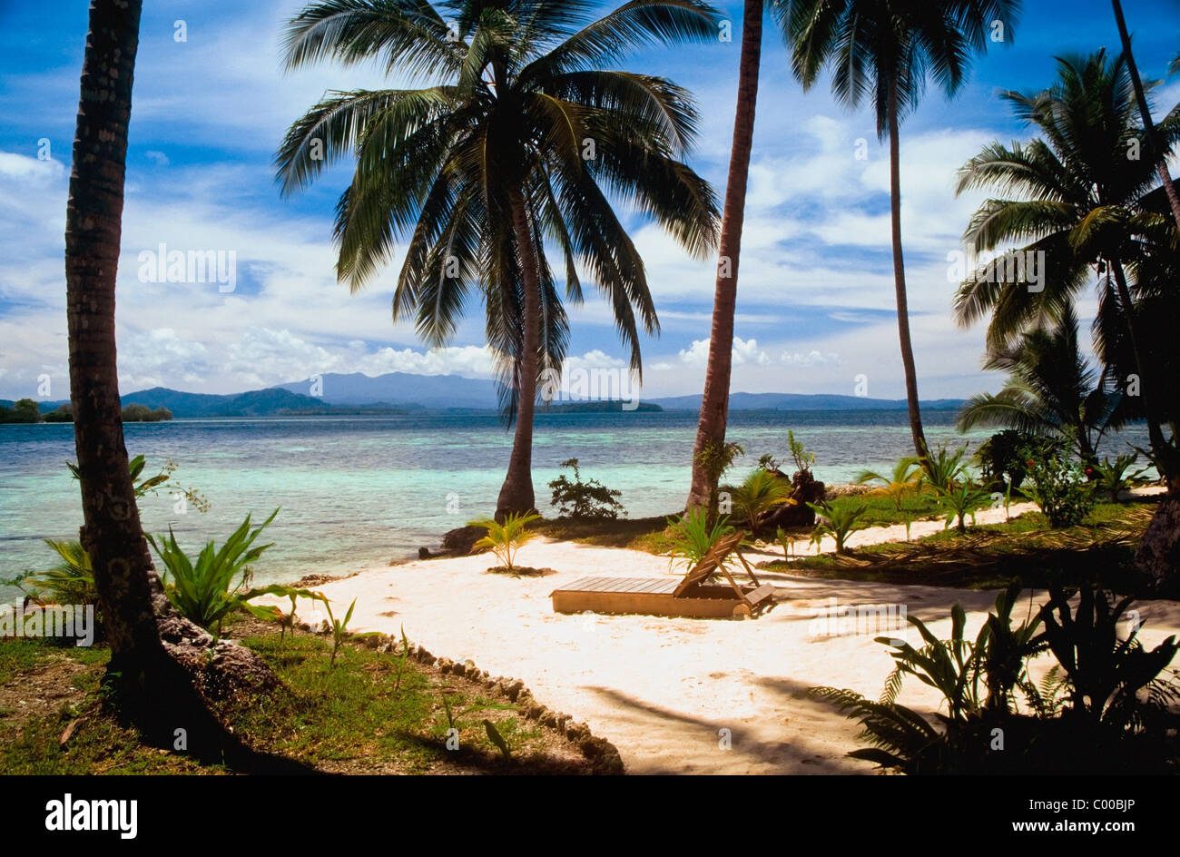 Gli alberi di palma Uepi Dive Resort di Marovo Lagoon Foto Stock