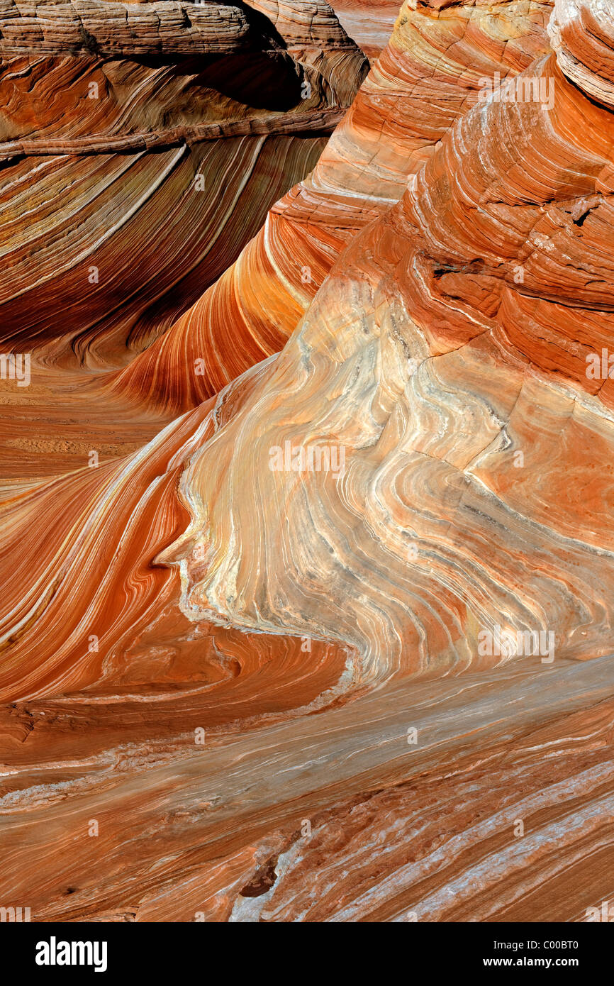 Le principali formazioni di onda in Arizona Coyote Buttes North deserto e vermiglio scogliere monumento nazionale. Foto Stock