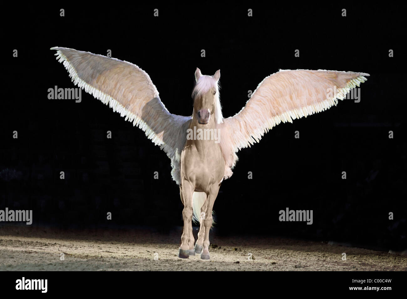 Pegasus in galoppo con ali stese Foto Stock