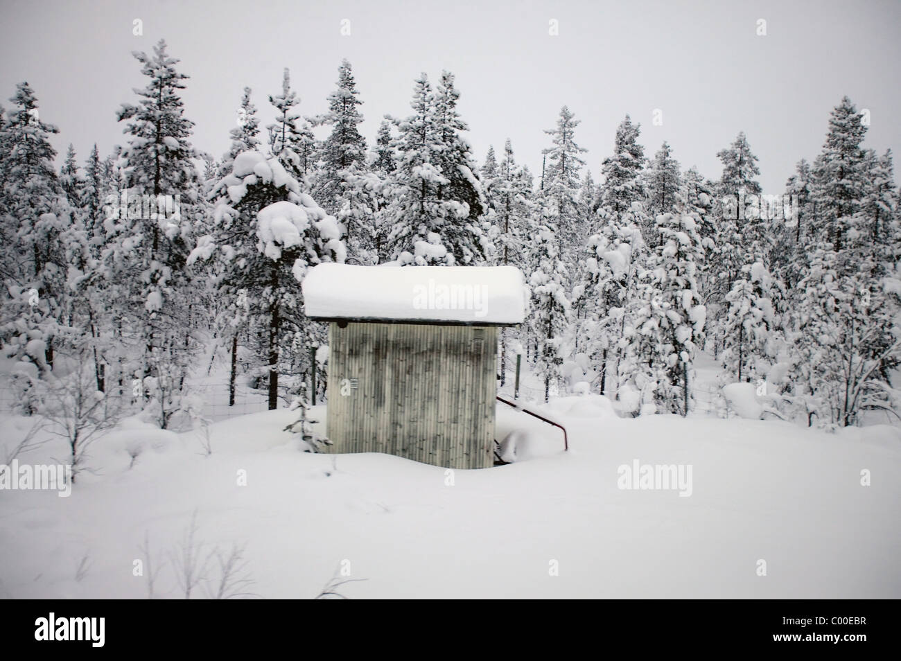 Neve cabina coperta dalla foresta Foto Stock