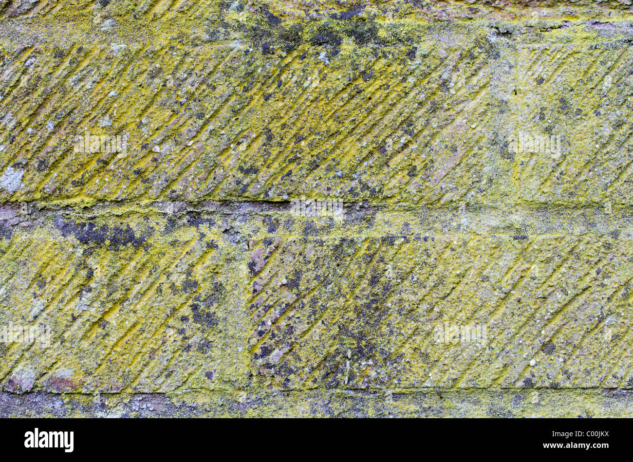 Il Lichen coperti di mattoni Foto Stock