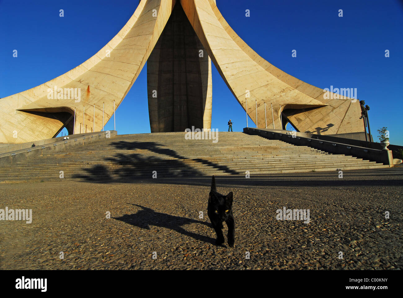 Algeria, Alger, basso angolo di vista dei martiri monumento con gatto nero in piedi sui gradini contro il cielo chiaro Foto Stock