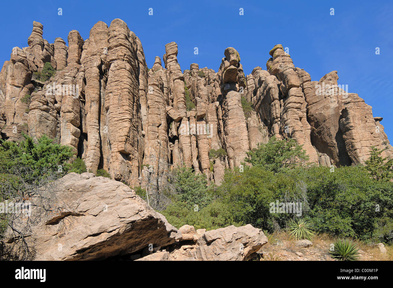 Chiricahua National Monument è una unità di Stati Uniti National Park Service trova Chiricahua Mountains. Foto Stock