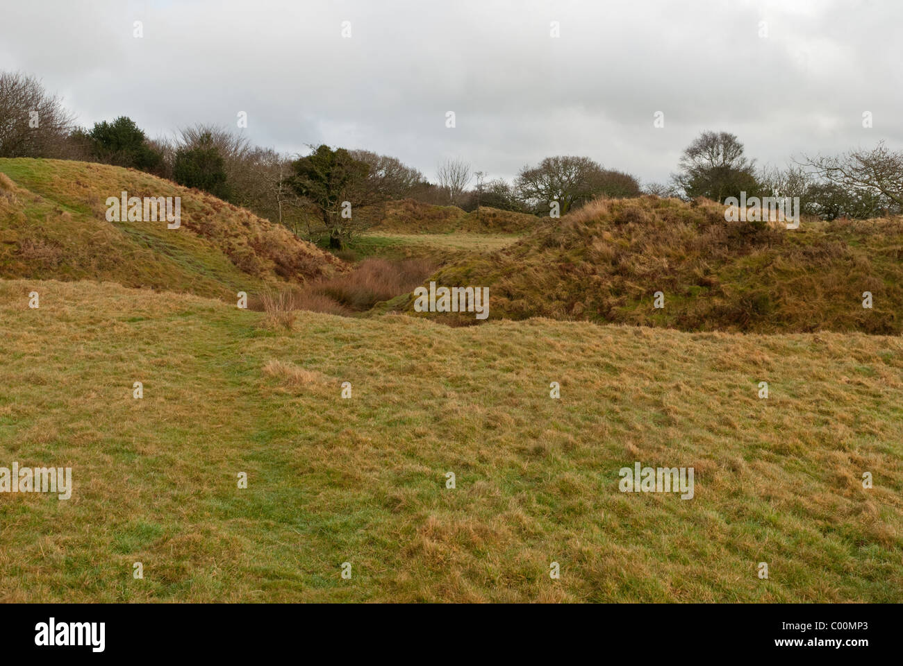 Blackdown anelli sono i resti di un castelliere preistorico hillfort nel Devon, Inghilterra sudoccidentale Foto Stock