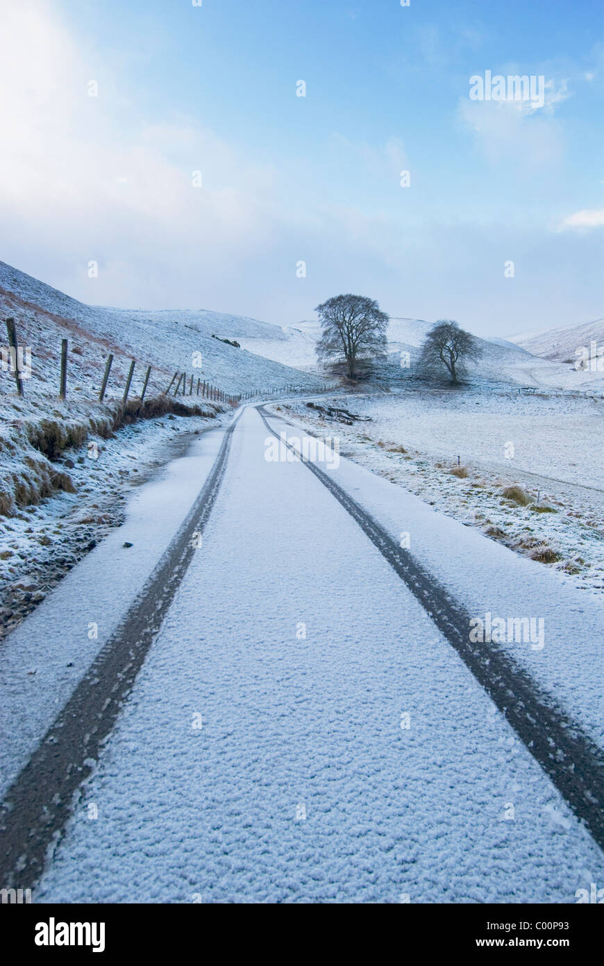Auto tracce nella neve fresca Foto Stock