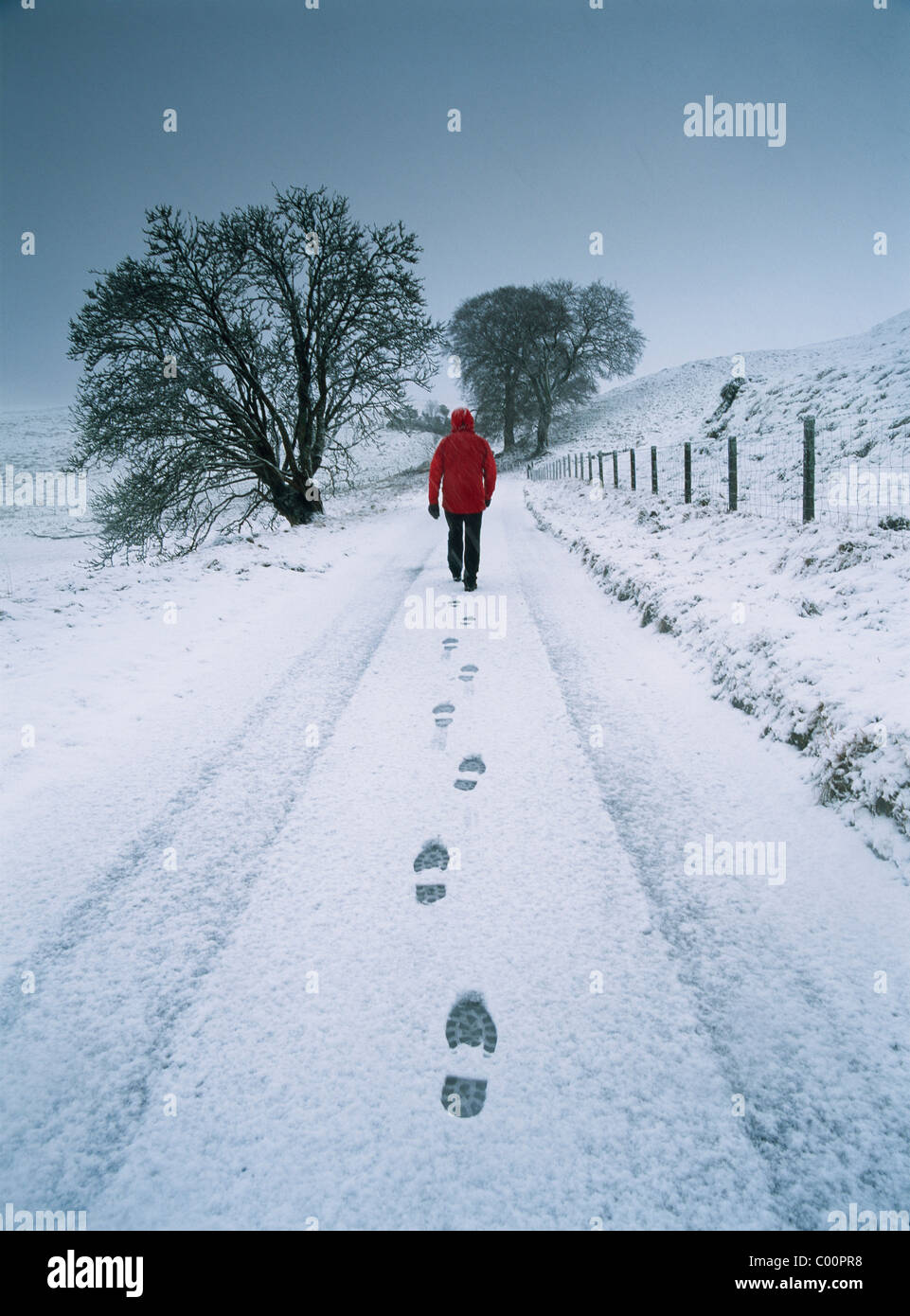 Uomo che cammina sulla strada rurale in neve fresca, vista posteriore Foto  stock - Alamy