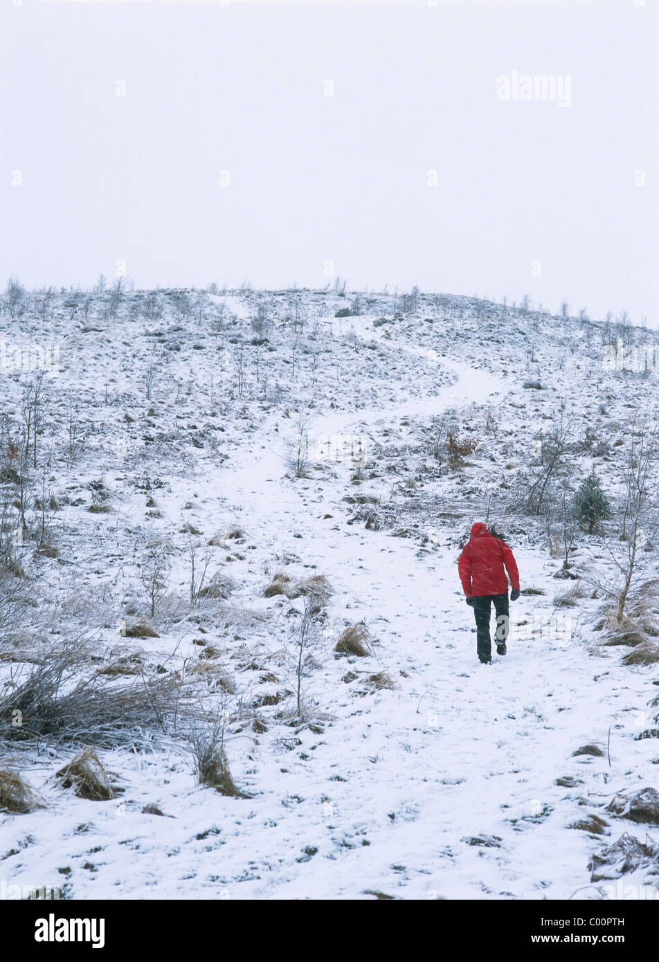 Uomo a camminare in salita nella neve, vista posteriore Foto Stock