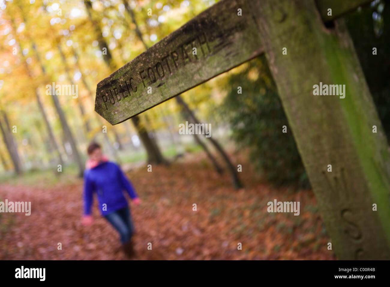 Giovane donna passeggiate in foresta, autunno Foto Stock