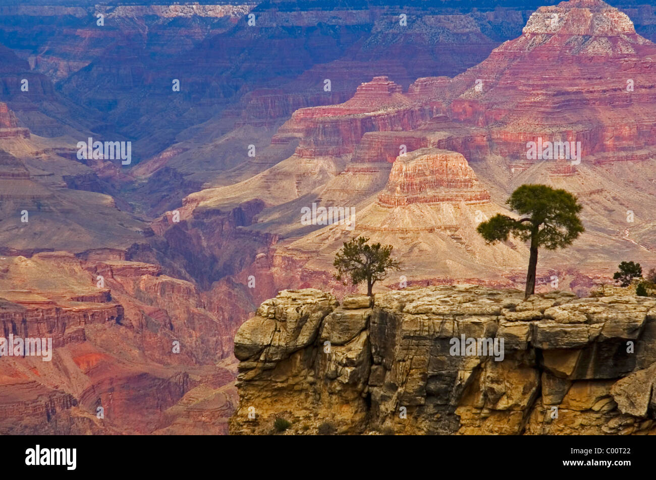 Bordo Sud del Grand Canyon, vista in elevazione Foto Stock