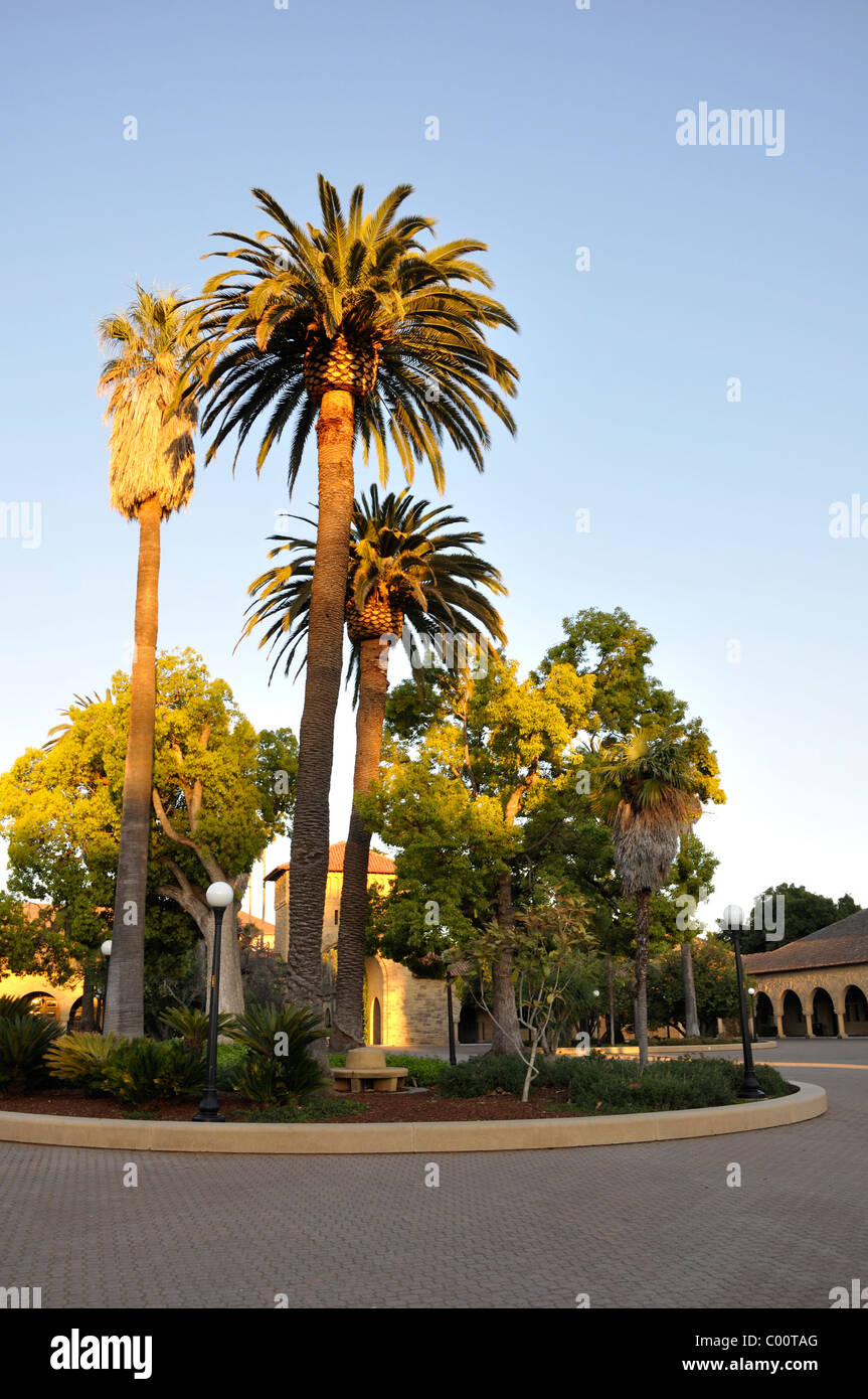 La Stanford University di Palo Alto, California, Stati Uniti d'America Foto Stock