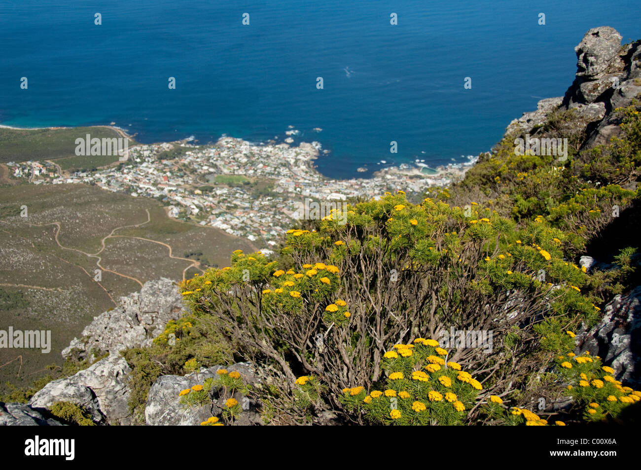 Sud Africa, Città del Capo e di Table Mountain. Costa atlantica vista dalla cima della montagna della tavola. Foto Stock