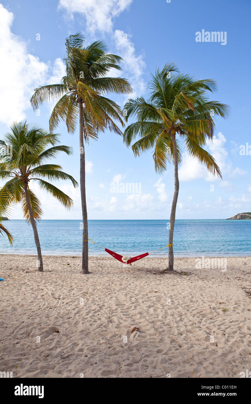 Amaca sulle palme da cocco Sunbay beach in Vieques Island, Puerto Rico. Foto Stock