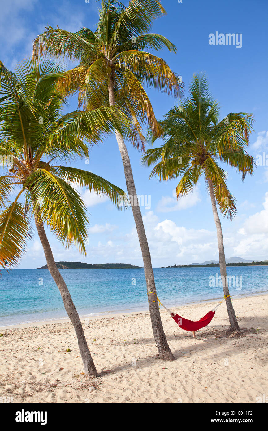 Amaca sulle palme da cocco Sunbay beach in Vieques Island, Puerto Rico. Foto Stock