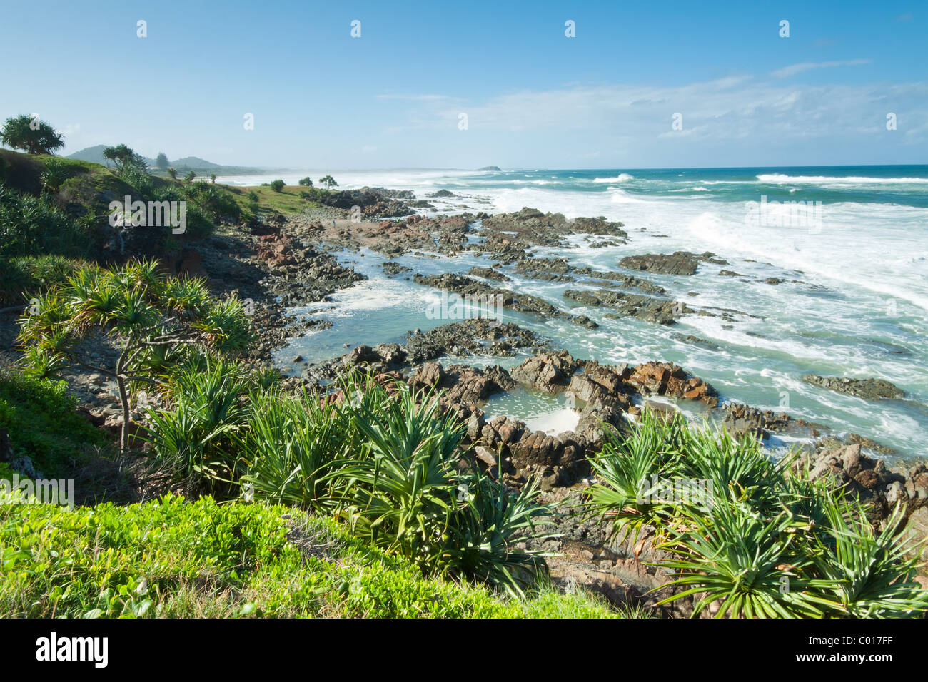 Australian seascape durante il giorno con alberi nativi in primo piano (punto di Hastings, NSW) Foto Stock