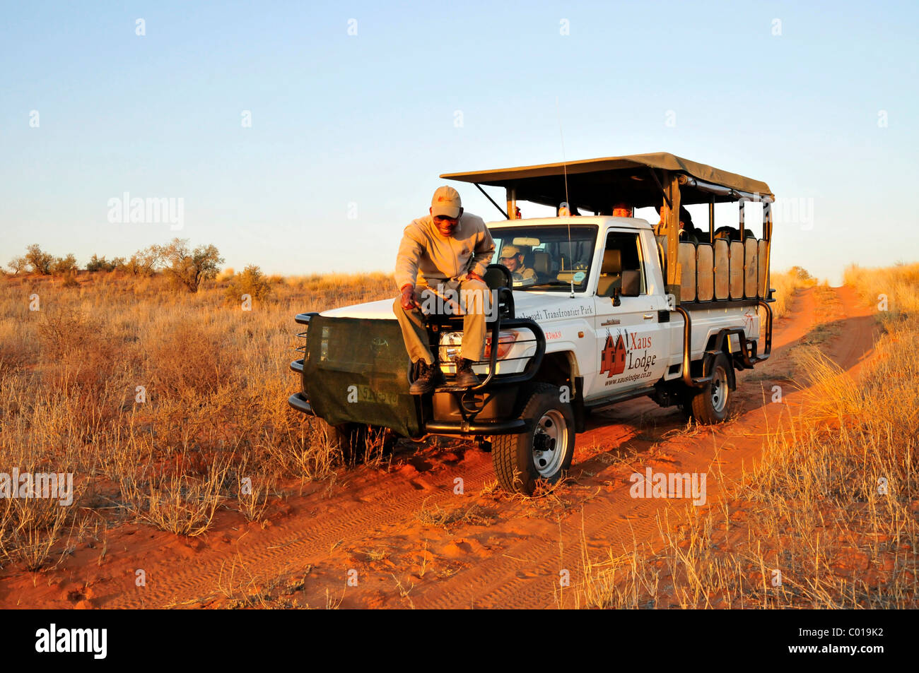Guida della tribù dei Khomani Bushmen, Khomani San, tracking su un veicolo di safari del !Xaus Lodge Foto Stock