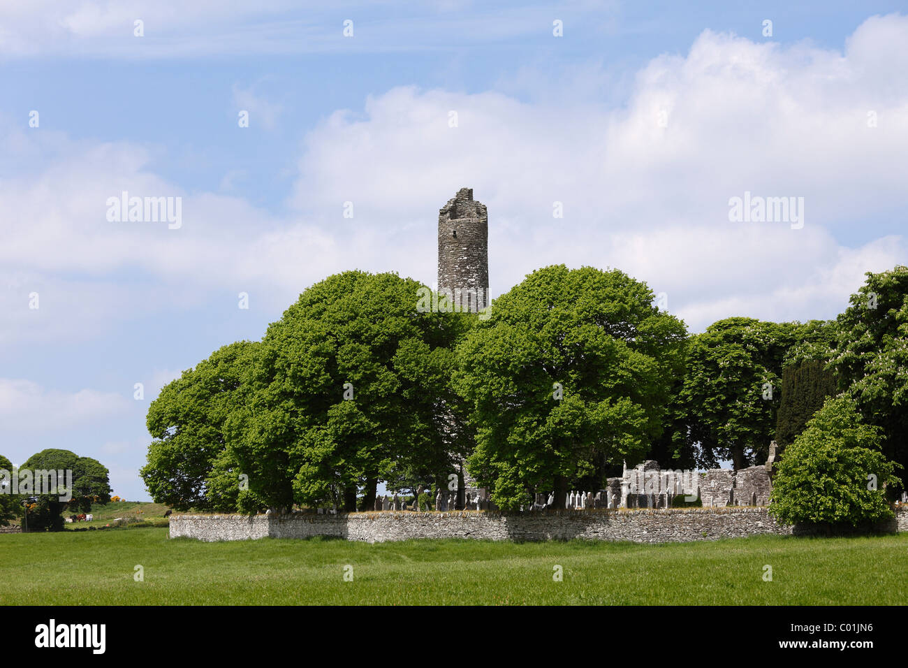 Monastero Monasterboice, nella contea di Louth, Leinster, Irlanda, Europa Foto Stock