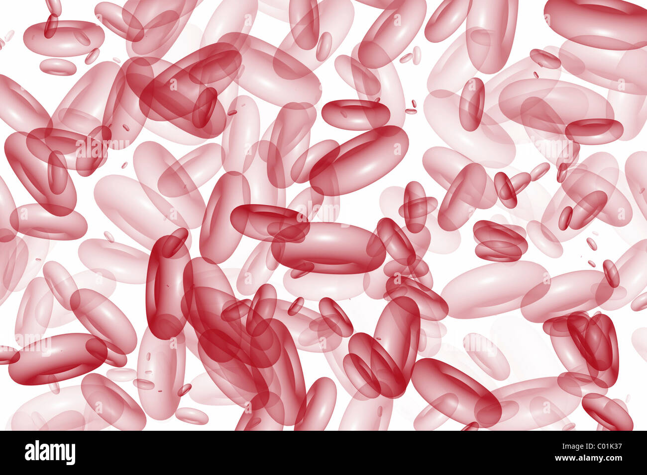 Globuli rossi Foto Stock