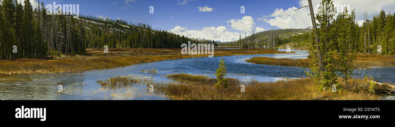 Lewis fiume vicino a Lewis scende, il Parco Nazionale di Yellowstone, Wyoming USA, America del Nord Foto Stock