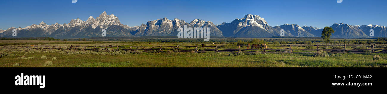 Jackson nel foro anteriore della Teton Range, il Parco Nazionale del Grand Teton, Wyoming USA, America del Nord Foto Stock