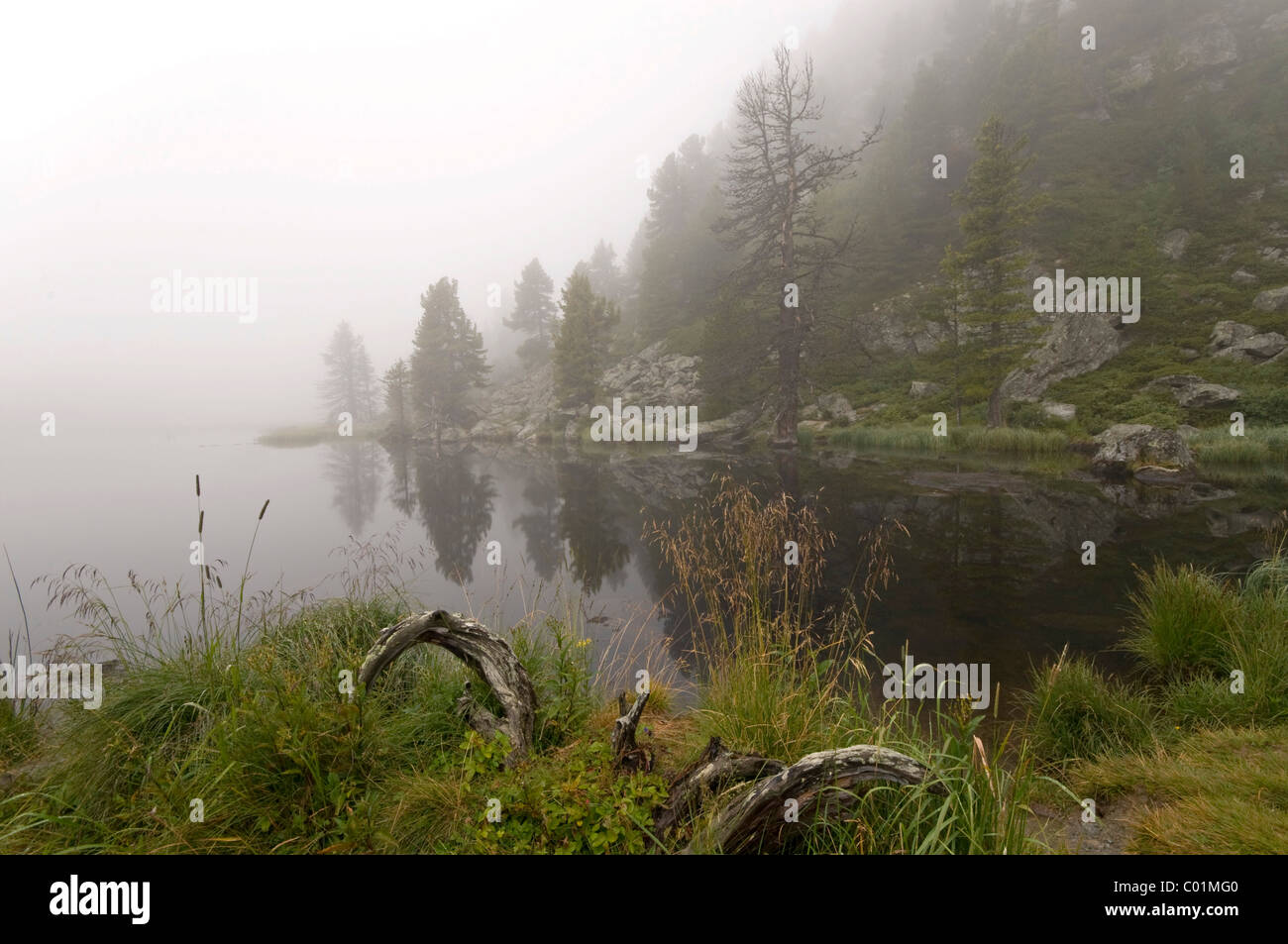 Lago Windebensee, Parco Nazionale Nockberge, Carinzia, Austria, Europa Foto Stock