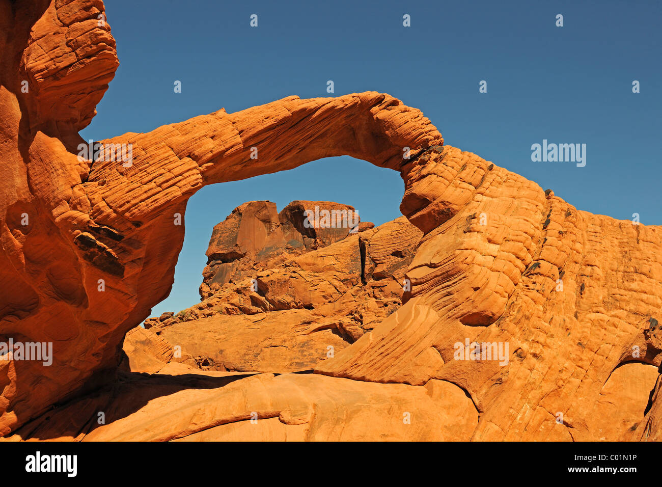 Arch Rock al tramonto, la Valle del Fuoco del parco statale, Nevada, Stati Uniti d'America, America del Nord Foto Stock