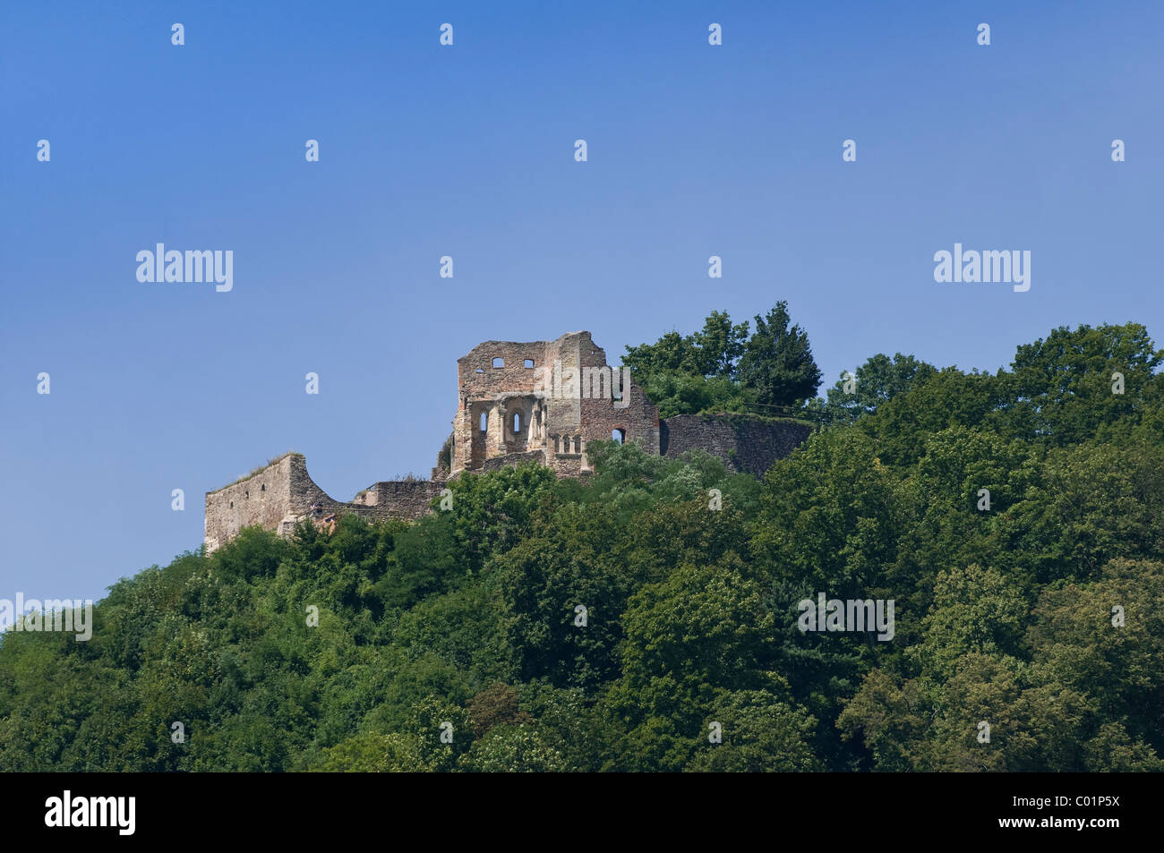 Burg Donaustauf rovine del castello, Landkreis Regensburg distretto, Alto Palatinato, Baviera, Germania Europa Foto Stock