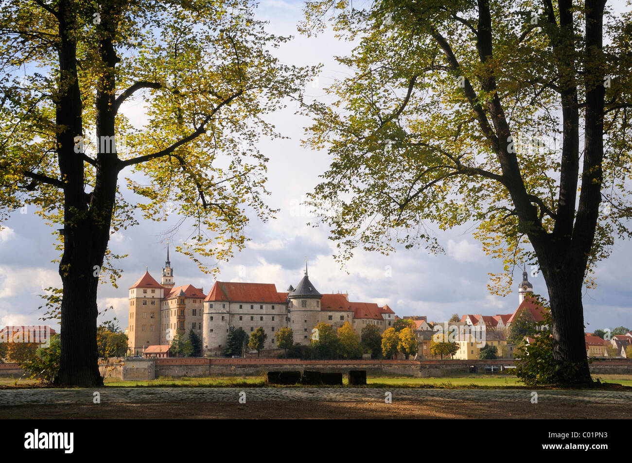 Schloss Hartenfels castle, Torgau, Landkreis Nordsachsen County, in Sassonia, Germania, Europa Foto Stock