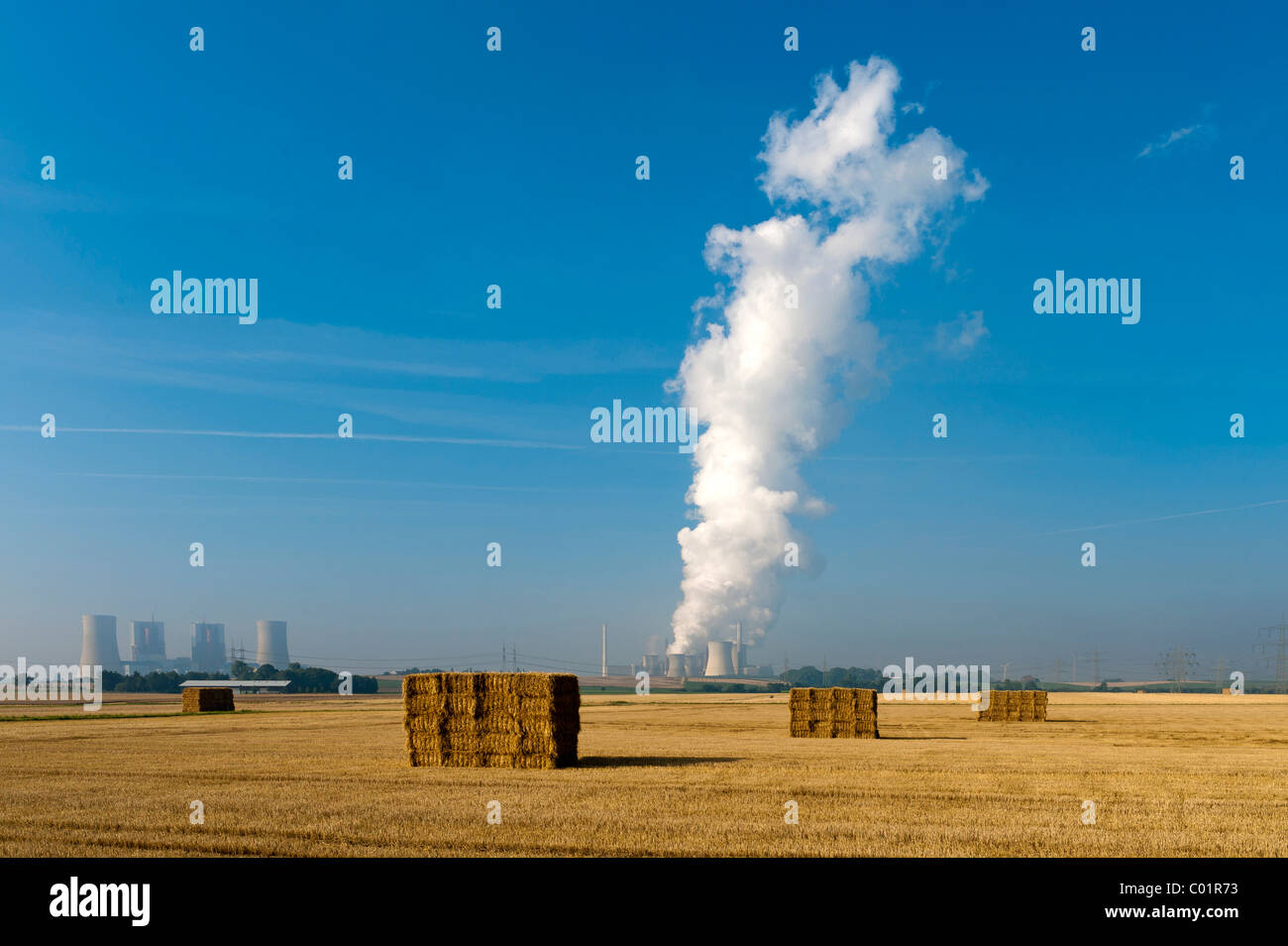 La granella raccolta campo, nel retro i Kraftwerk Neurath Power Plant, Grevenbroich, Renania settentrionale-Vestfalia, Germania, Europa Foto Stock