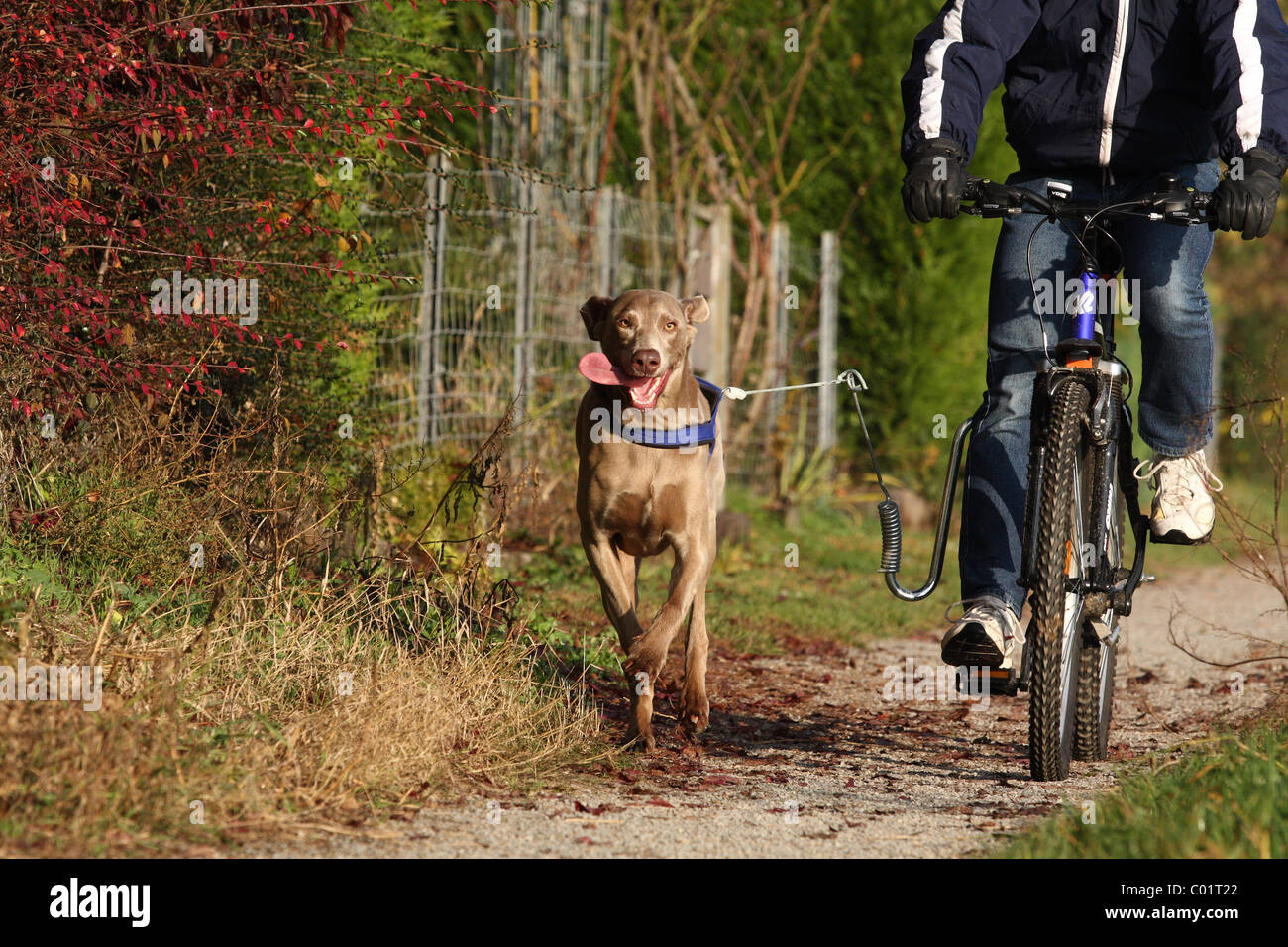 biciclette di ulk per i piccoli