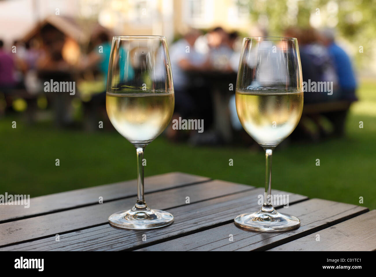 Due bicchieri di vino bianco, stagionale Noiblinger taverna, Weissenkirchen nella valle di Wachau, regione Waldviertel Foto Stock